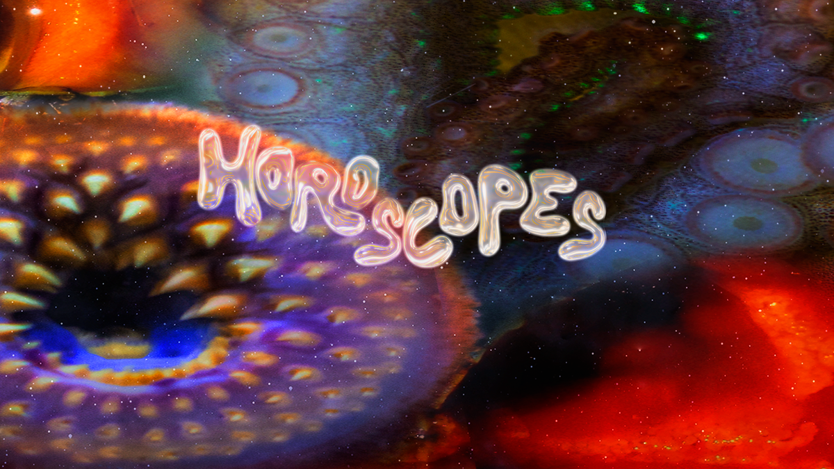 Virgo Weekly Horoscope Cosmopolitan: Career Tips For This Week?