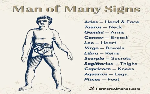 Your Virgo Monthly Horoscope 2015 Guide: Tips for Every Month