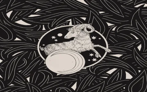 Monthly Virgo Horoscope 2022 Forecast Check Key Details Every Month!