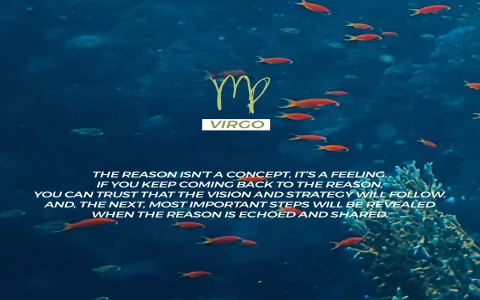 How to attract a virgo man? (Personality traits tips revealed here)