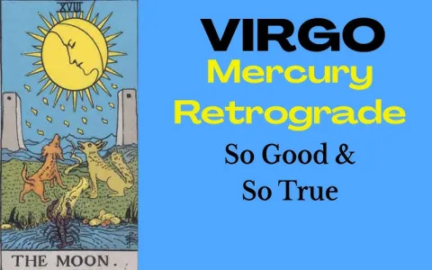Virgo weekly horoscope Ask Oracle: Predictions for this week revealed!