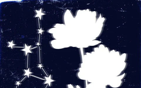 Daily Virgo Horoscope 2018 What Will Your Day Bring? Find Out