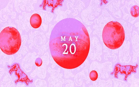 Virgo May 19 2025 Daily Horoscope: Top 5 Must Know Things for Today!