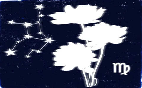 Leo and Virgo daily love horoscope reading: What to expect for love today?