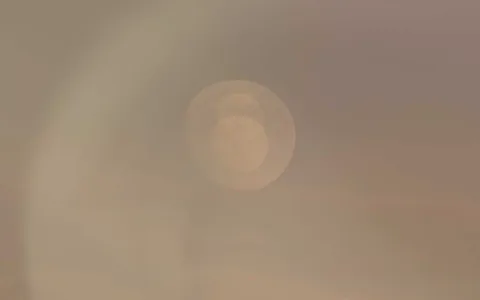 Virgo Health Horoscope This Month and Important Wellness Guide