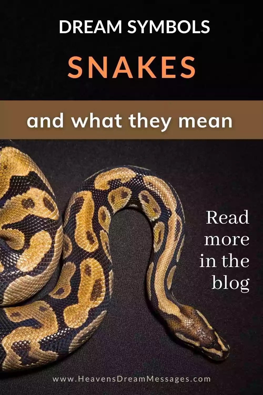 biblical meaning of python in dream explained with simple examples and tips