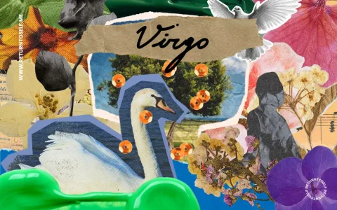 Why Your Virgo 2023 Romance Needs Attention Today? Key Signs!