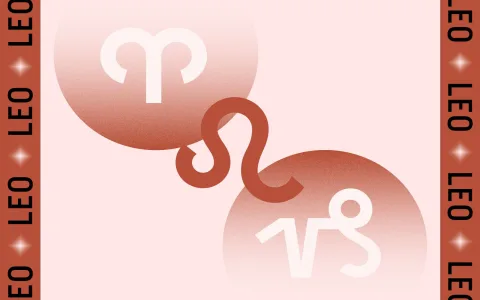 How to increase Virgo Leo friendship compatibility percentage with 4 easy steps.