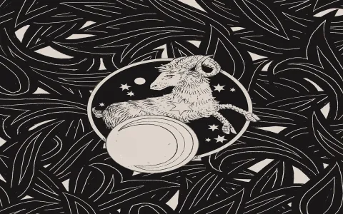 Aries and Virgo Sex Compatibility Secrets You Need to Know