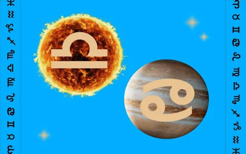 pisces sun virgo moon personality career (ideal jobs for this zodiac mix)