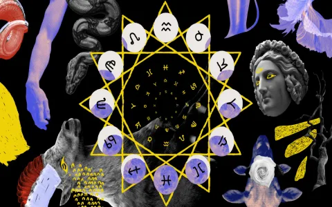 Virgo Man Ideal Career Finding the Right Professional Fit Easily