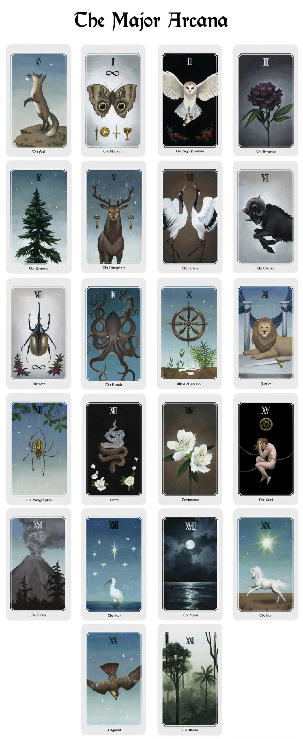 How to Use Anima Mundi Tarot Cards Effectively? 3 Easy Steps for Beginners!