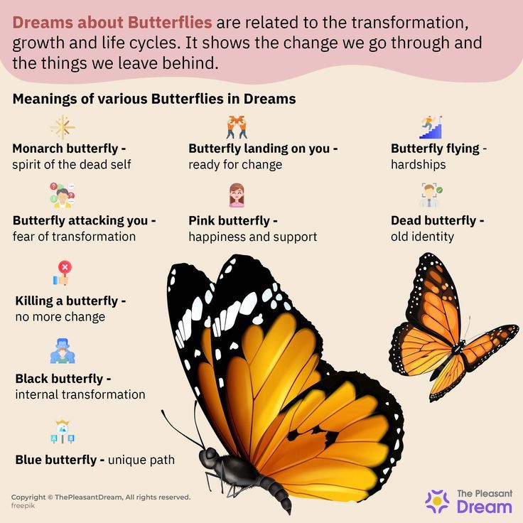 Biblical meaning of butterflies in dreams explained in simple terms for you.