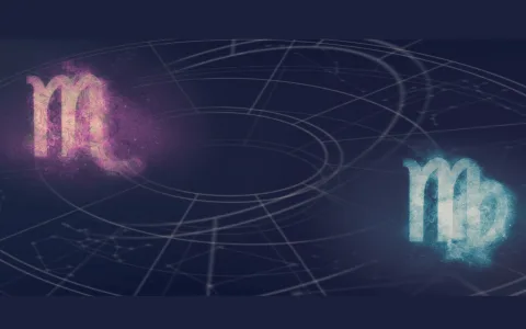 Virgo and Scorpio Compatibility in Marriage What Are the Pros and Cons