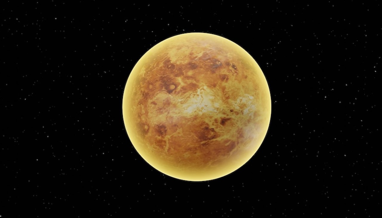 Venus in Virgo Money Tips Today? (Improve Income With Simple Steps)