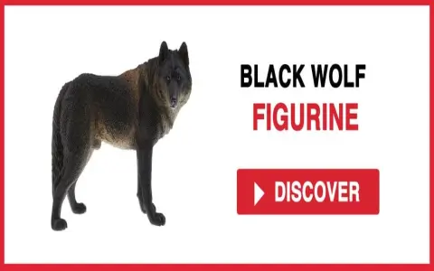 Biblical meaning of a wolf dream explained？ (Symbolism and Practical Examples)