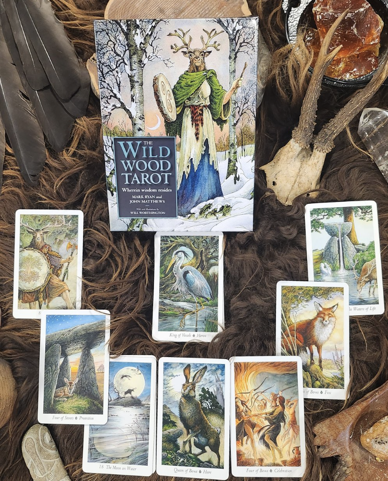 Where to buy the wild wood tarot deck find the best prices online