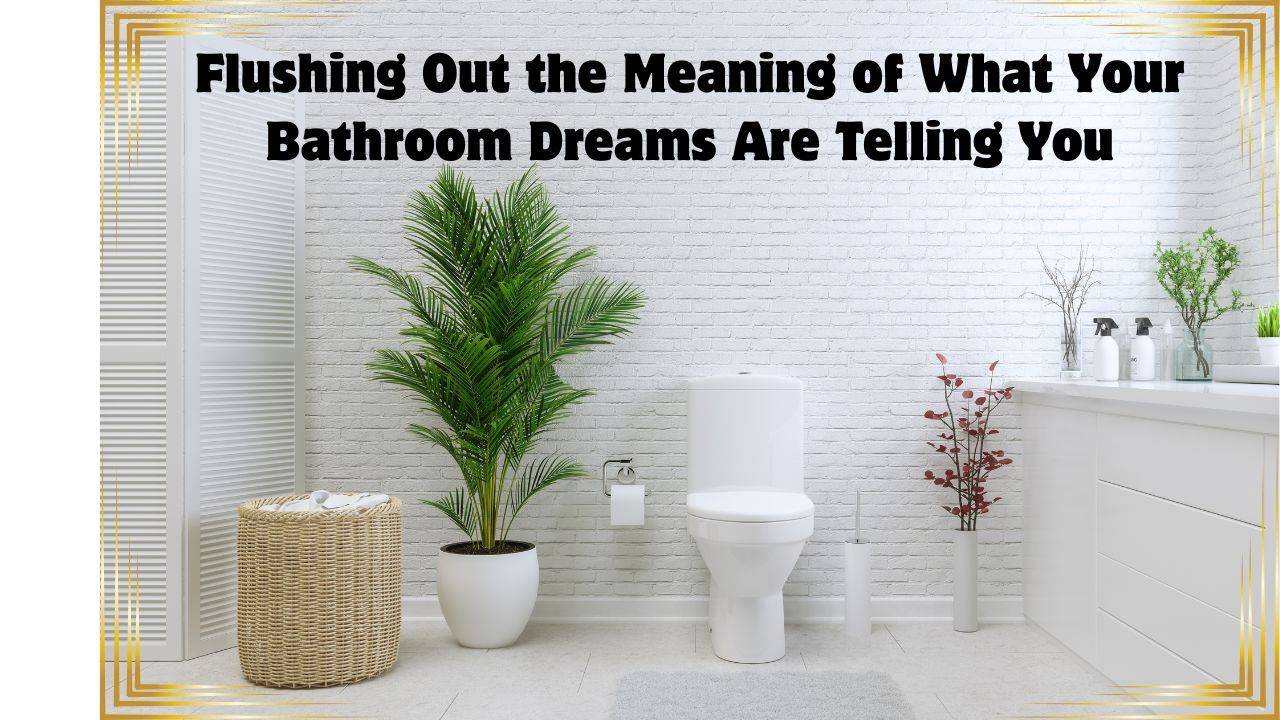 dreaming of bathroom