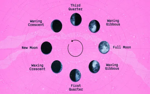 Aquarius Moon and Virgo Moon Compatibility Explained in Simple Terms