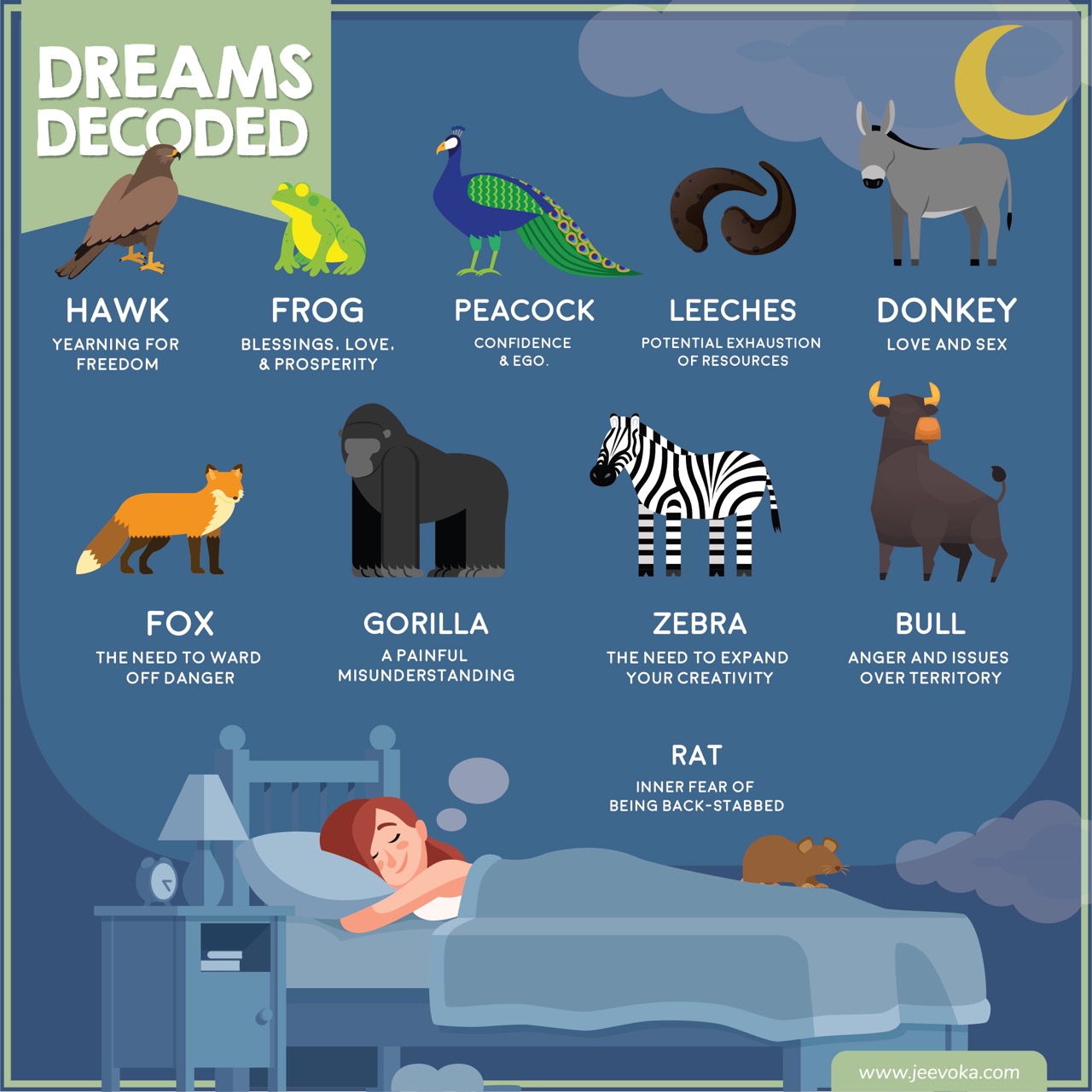 dreaming about wild animals what your subconscious is telling you