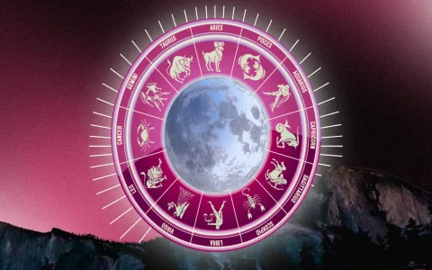 Your Daily Love Horoscope Aquarius and Virgo： Key Advice for Couples Today