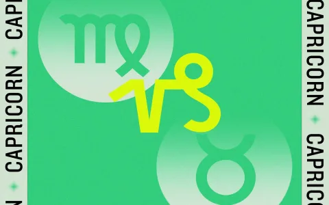 Libra and Virgo Marriage Compatibility in Urdu Know How Good They Match