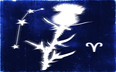 elle virgo horoscope daily discover your daily fortune and what to avoid