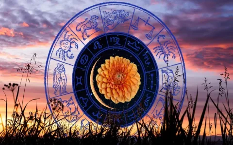 How is Virgo Money Today? (Unlock Your Financial Forecast!)