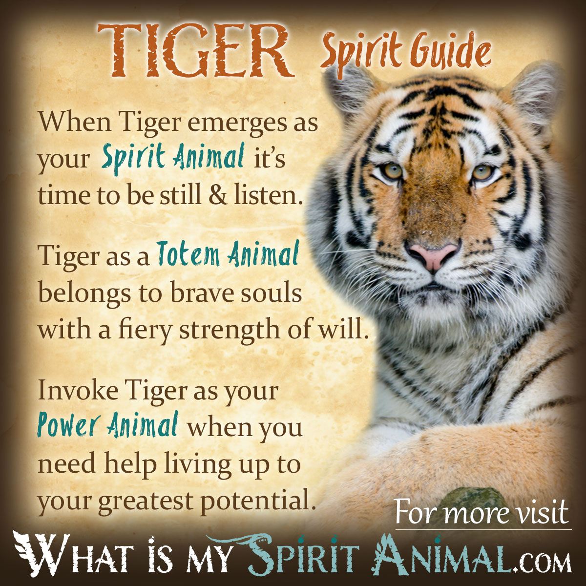 female tiger spiritual meaning discover the 5 powerful symbols
