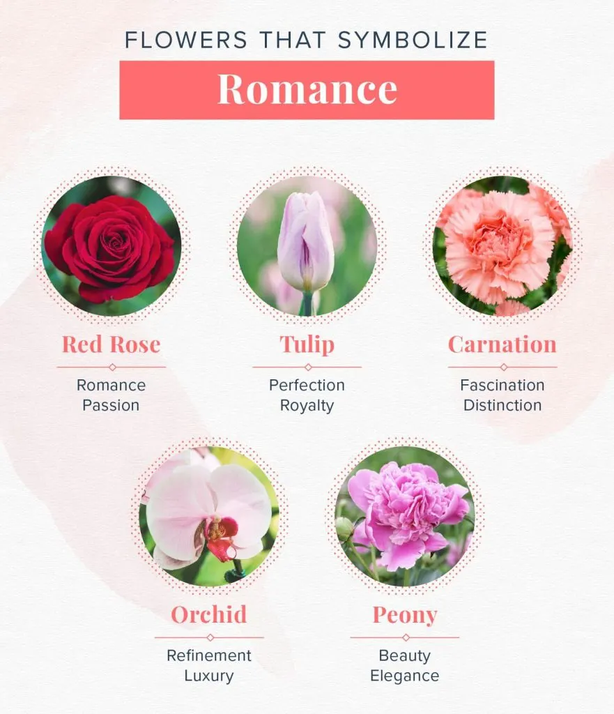 Flower metaphors for love best romantic flower comparisons to use