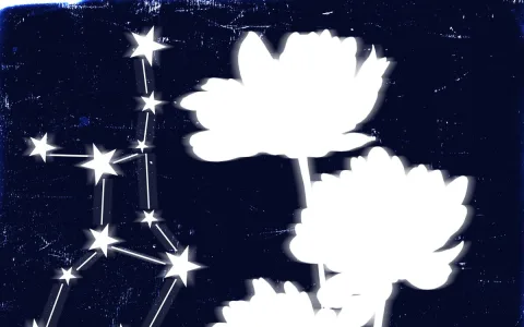 How virgodailyastrology.com Works: Daily Virgo Horoscope Made Easy