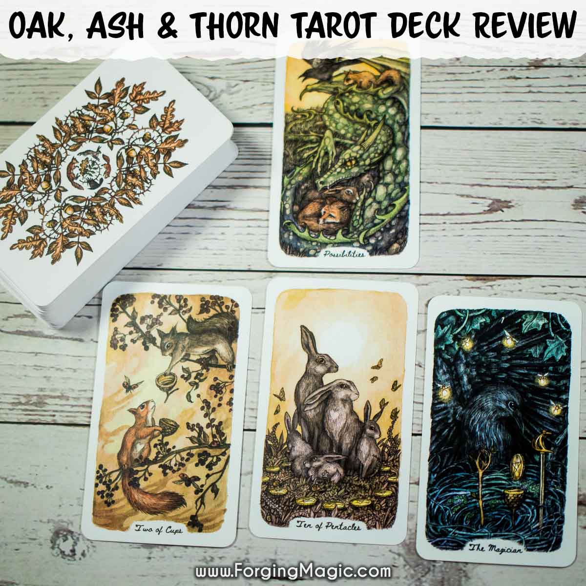 How to use oak ash thorn tarot? (Easy steps for beginners to learn card readings!)