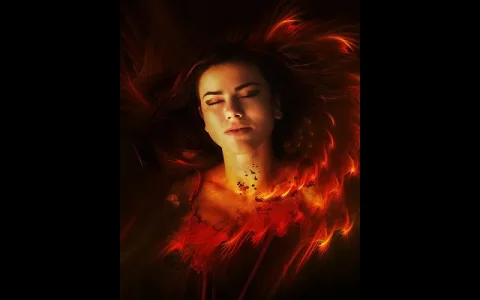 Where to find phoenix animal totem guide？ (Top resources explained simply!)