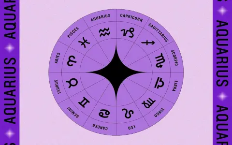 Aquarius Virgo Love Secrets Why They Connect or Collide