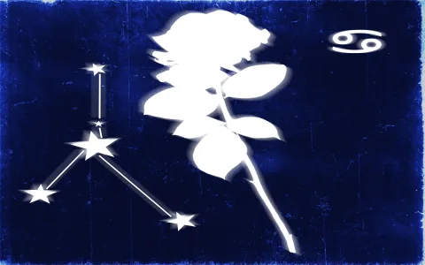 Elle Astrology Virgo Monthly What to Expect (Key Predictions This Month!)