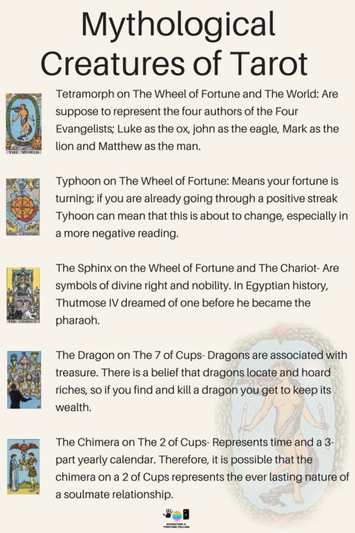 understanding animal tarot cards meanings for love and career