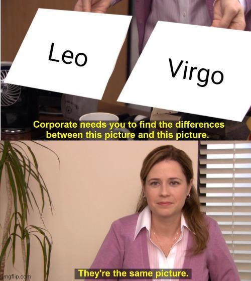 Leo vs Virgo Personality： Key Differences You Need to Know Now