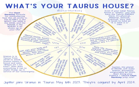 How to boost Taurus and Virgo sibling compatibility? Try these 5 easy tips now!