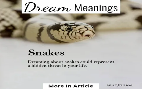 biblical meaning of python in dream explained with simple examples and tips