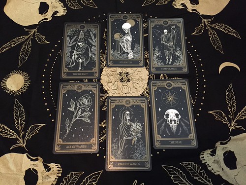 Marigold Tarot How to Use It for Self Readings and Easy Steps