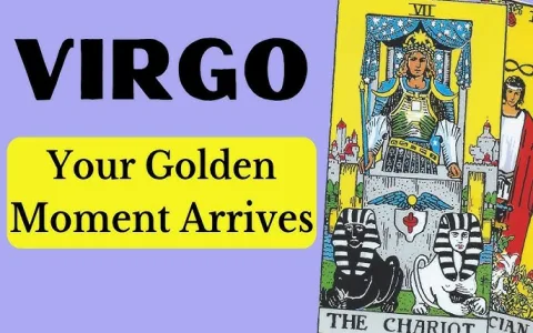 Virgo Weekly Horoscope Free Astrolutely Check Your Fortune Now