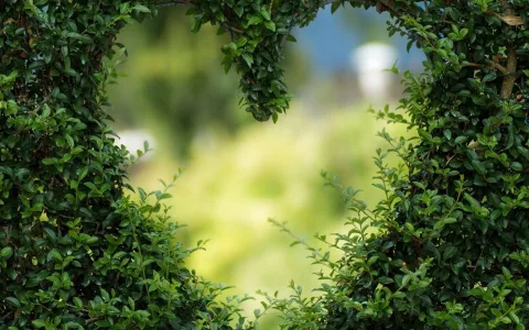 What Are Virgo Love 2024 Predictions? Simple Guide Inside