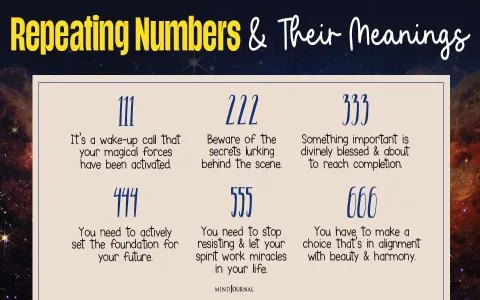 Tarot numerology chart meanings learn what the numbers reveal