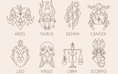 Virgo Daily Horoscope What Your Today Predictions Say About You