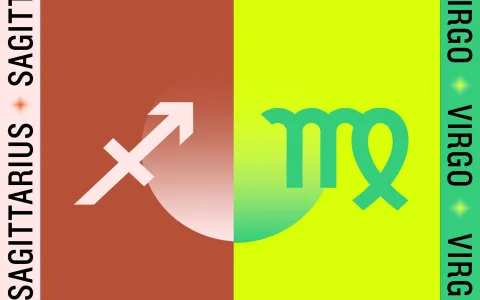 Taurus Virgo Love Compatibility Percent: Best Long Term Relationship Advice