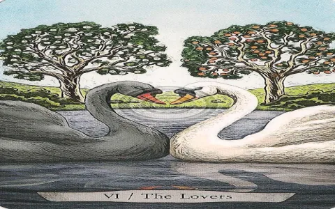 understanding animal tarot cards meanings for love and career