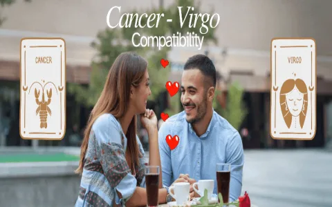 Virgo Love Life 2021 Compatibility Check with Other Zodiac Signs