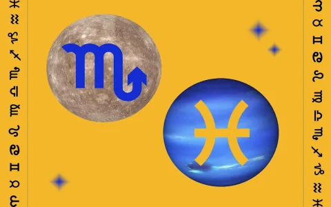 Checking the virgo monthly horoscope 2015 march forecast？ Was it right or wrong？