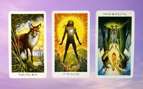 Can bottom of the deck tarot predict the future？ Find out here!