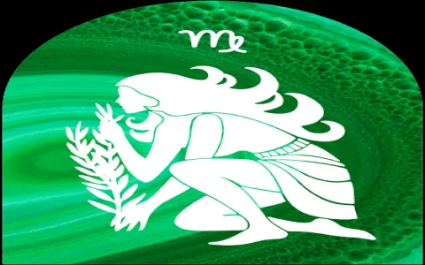 Horoscope 2020 Virgo career： How to handle work - related stress？